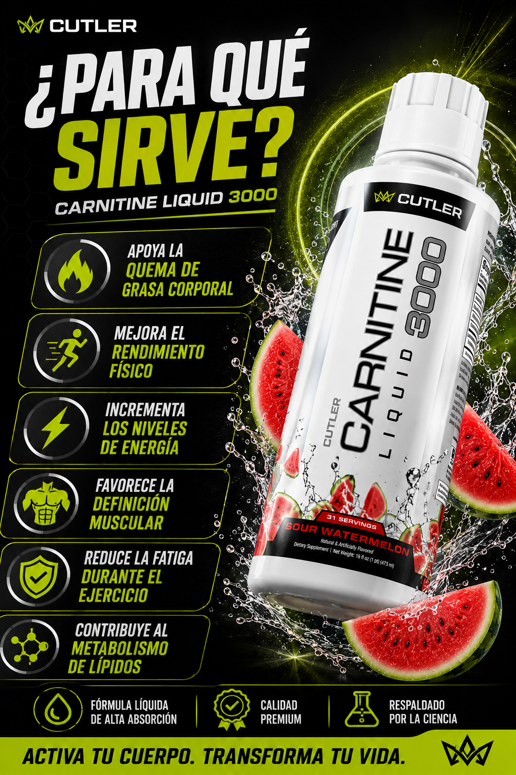 Para qué sirve la L-Carnitine 3000 - Funciones y usos